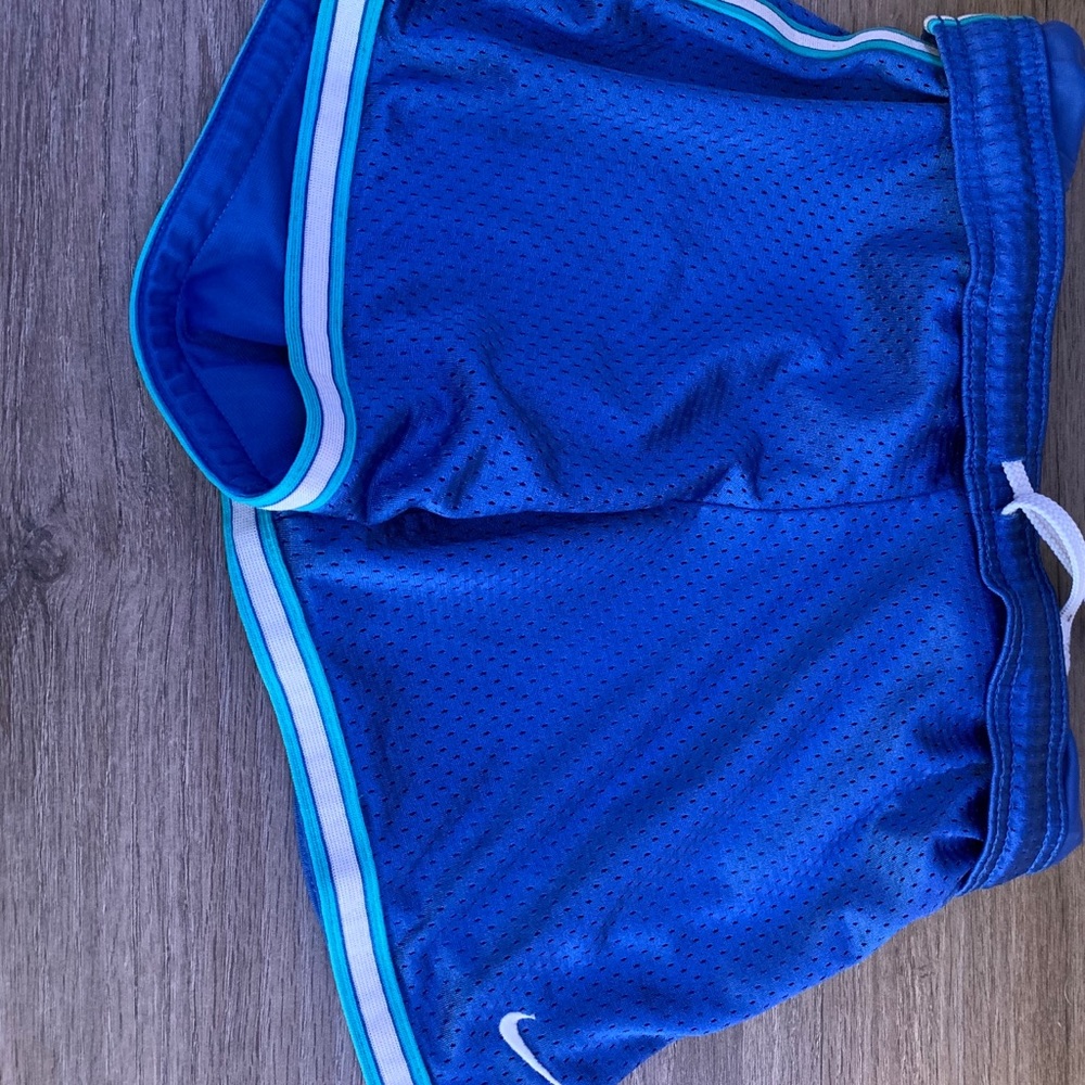 BLUE WHITE AND GREEN NIKE SHORTS